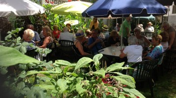 THE SOCIAL SIDE